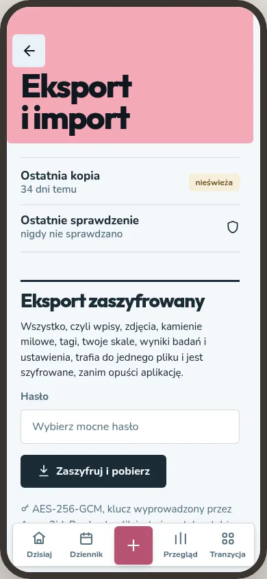 Eksport i import pokazuje wiek ostatniej kopii oraz formularz zaszyfrowanego eksportu.